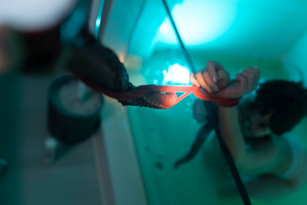 成人色站,在线视频,亚洲无码,日本av,欧美激情,国产自拍,最新h视频,成人,黄色视频,爱情动作片