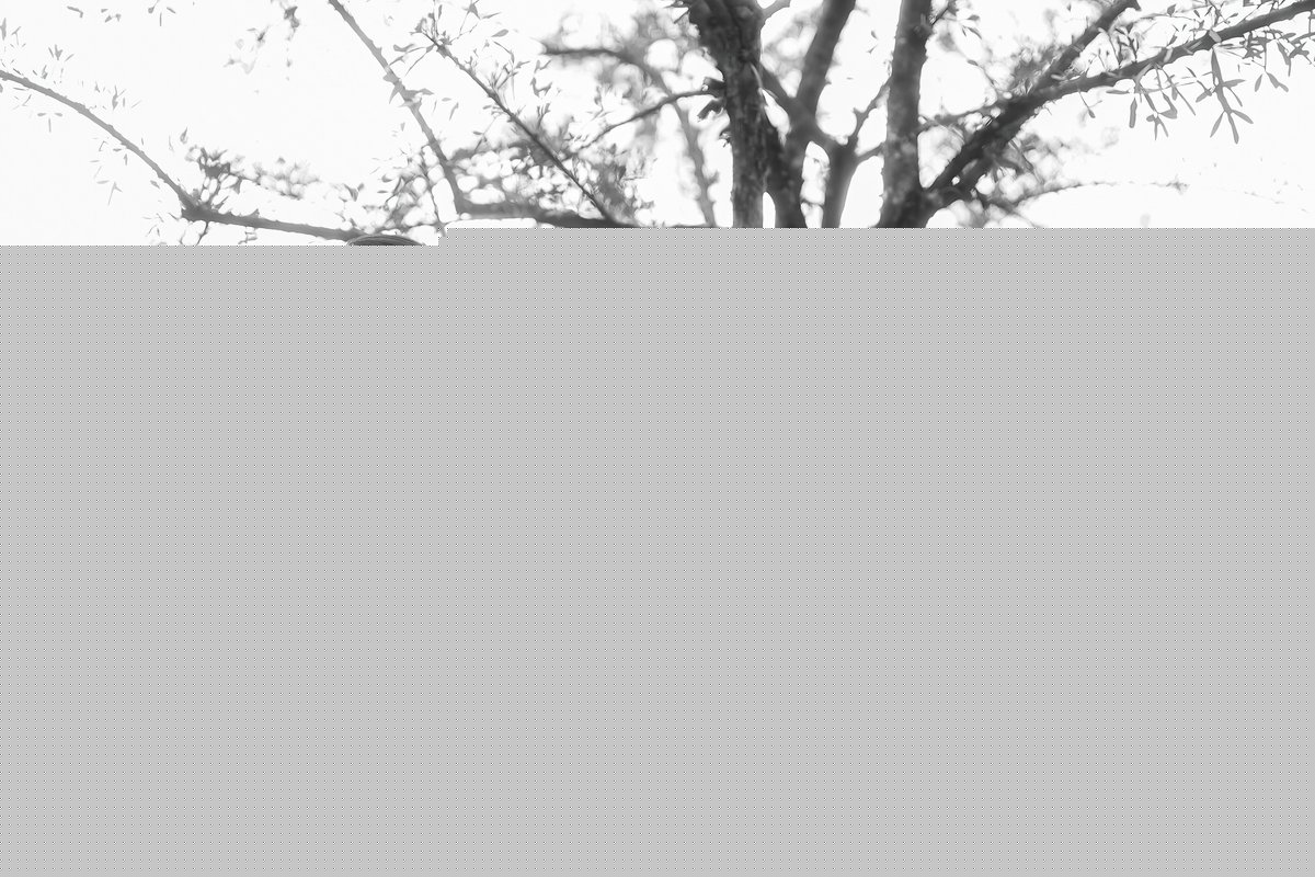 草莓视频在线观看_国产精品18久久久久久麻辣_善良的女秘书_狠狠色噜噜狠狠狠777米奇小说